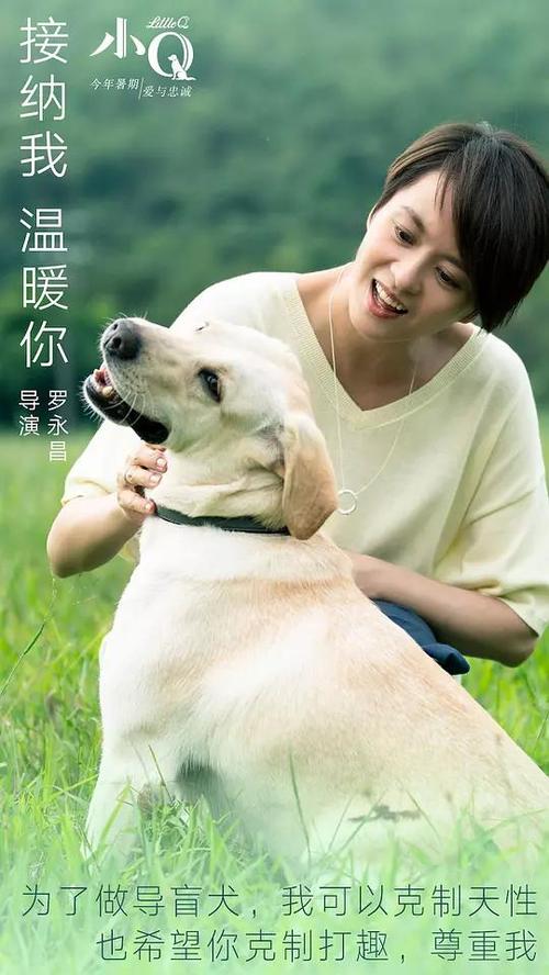 办假的兴业银行流水打印